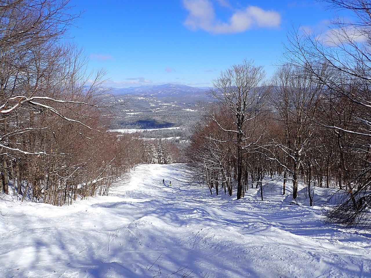高山滑雪选材:天赋的尺子该怎么量(规则判罚视角)